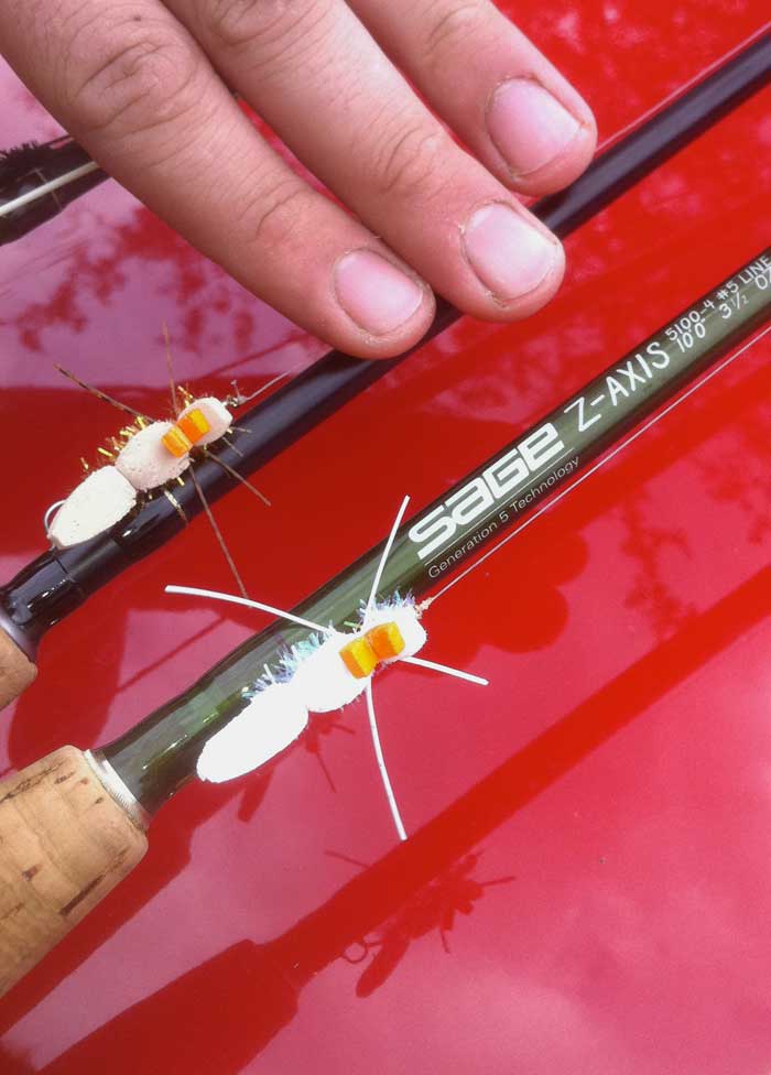 The Last Warm Water Fly You Will Ever Need