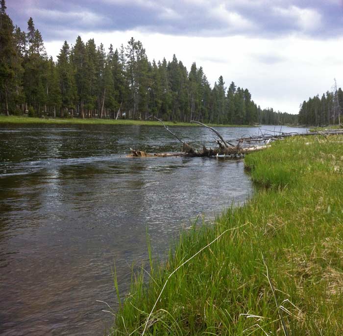 earlyfirehole