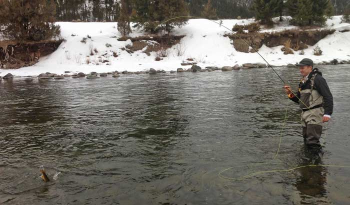 Ethan Markie plays a winter trout from the Gallatin.