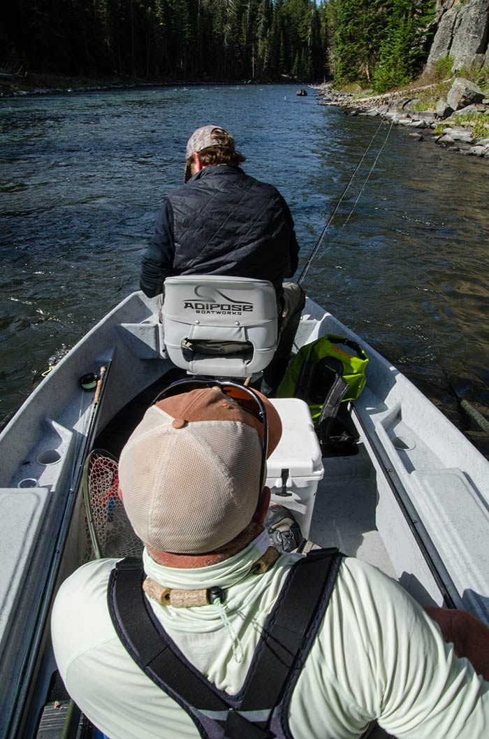 box_canyon_salmonflies_2014-34