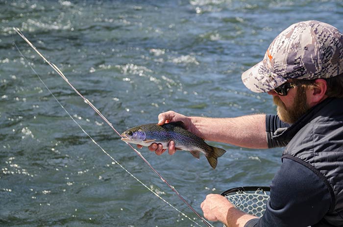 box_canyon_salmonflies_2014-77