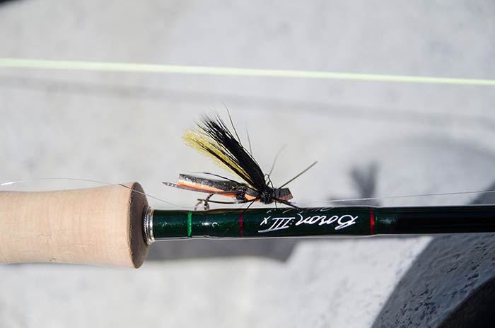 box_canyon_salmonflies_2014-87