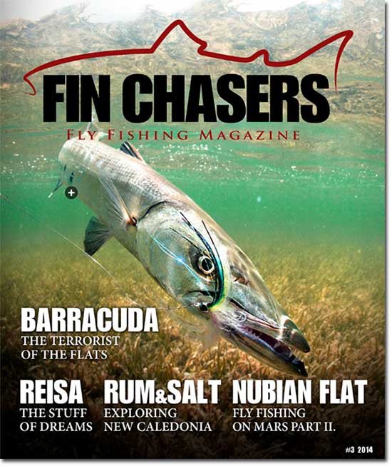 FinChasers#32014