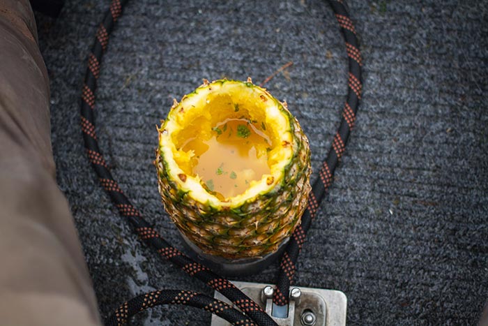 pineapple_chalice-2