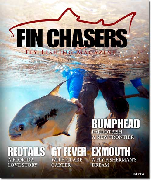 FinChasers4_Dec14_500DS