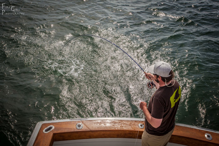 Get up high. On a boat with a flying bridge, this means a bit of climbing is in order. Here, Pete Kutzer puts the hurt on a bluefish on Cape Cod.