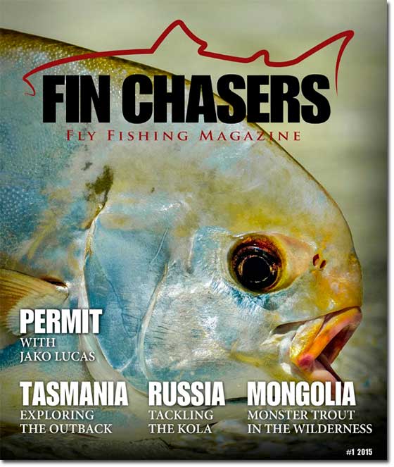 FinChasers2015_1_550DS