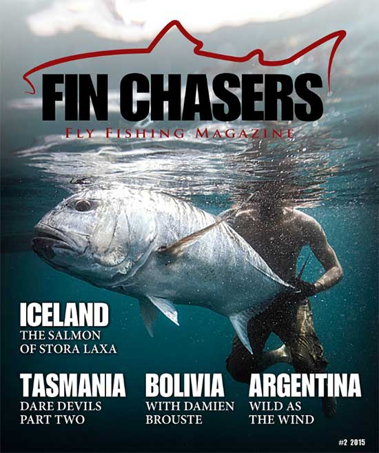 FinChasers2015.2-550