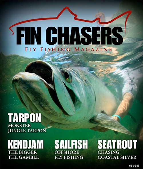 FinChasersWinter2015