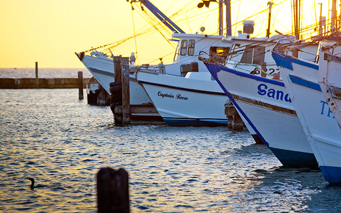 CWWBS15Apr16_theTxShrimpEd700