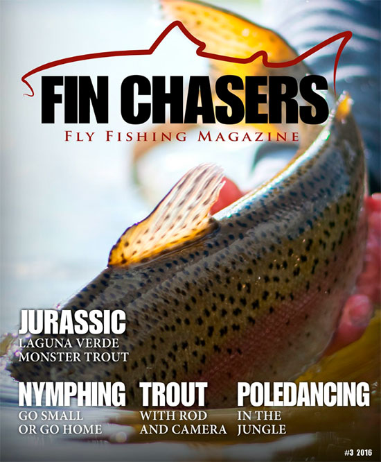 finchasers16-3