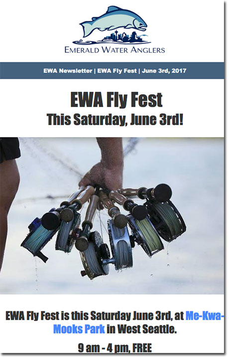 EWAFlyFest3Jun17450DSforCW