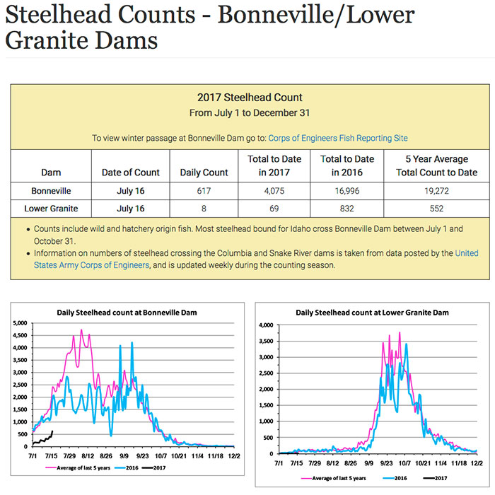 SteelheadBonneville17