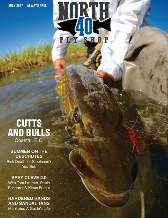 N40Cover550forCW_July17