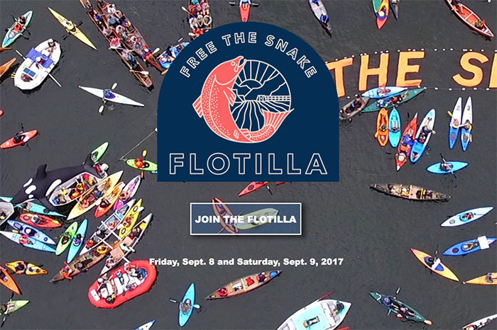 FTSFlotilla2017forCW