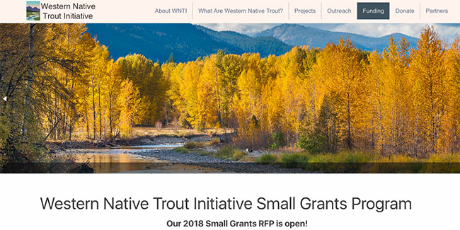 WNTISmallGrants18