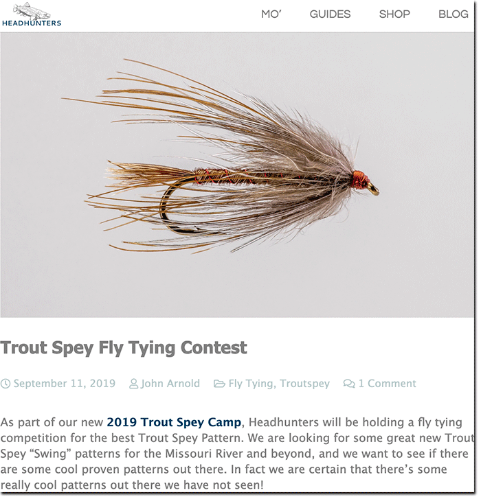 What is Trout Spey? – Swing the Fly